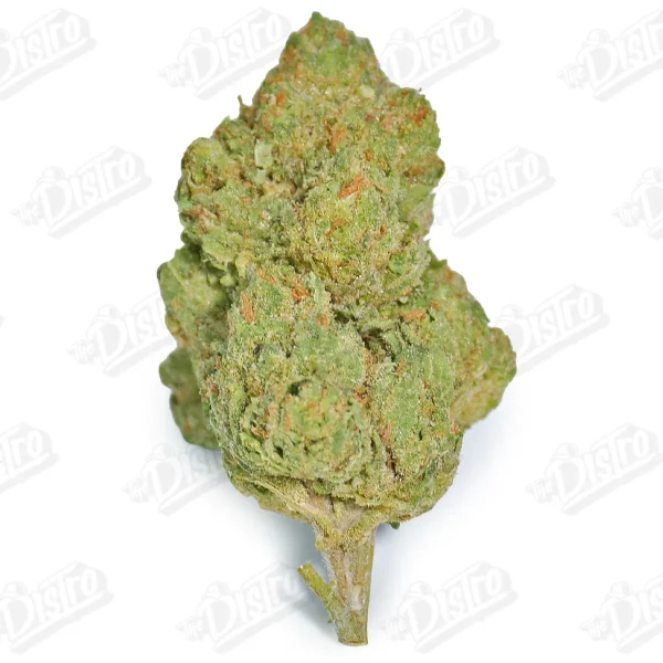 Strawberry Gelato (Value)