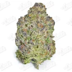 Lemon Diesel (Mid-Premium)