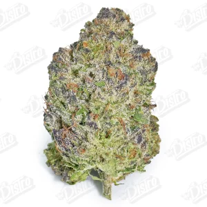 Lemon Diesel (Mid-Premium)