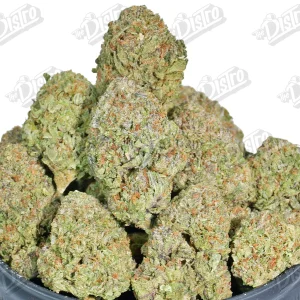 King Louis (Mid-Premium) 2